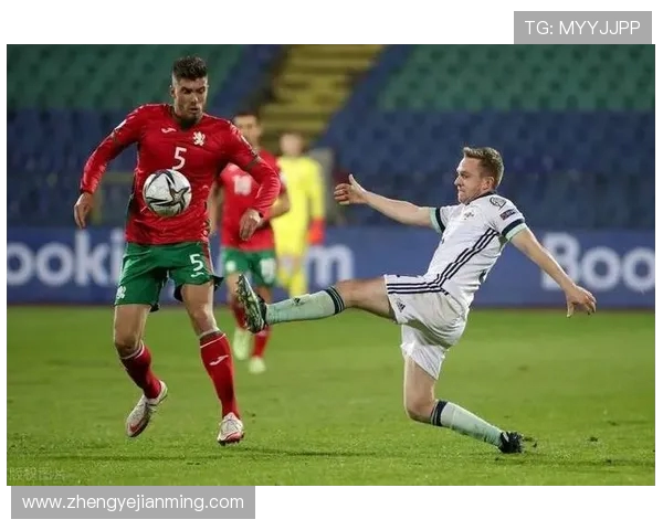 爱尔兰与保加利亚的精彩对决分析及赛前预测