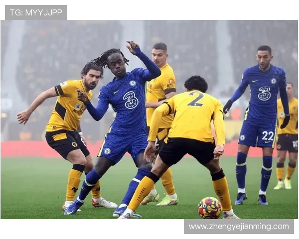 英超激战狼队迎战莱切城双方争夺关键三分展现实力较量