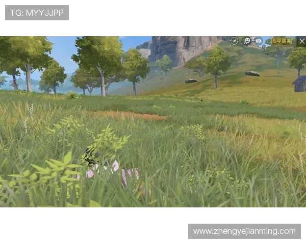 吴敏独家揭秘英雄联盟游戏策略与技巧分享助你快速提升段位