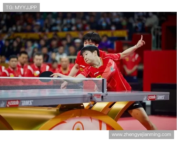 上海乒乓球队实力引发热议球迷与专家观点交锋分析